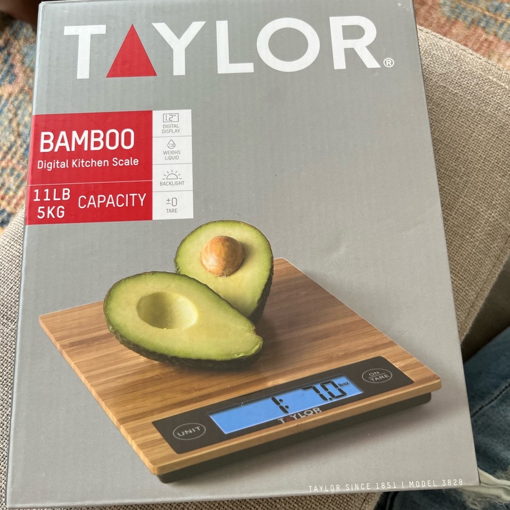 Taylor Food Scale